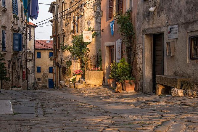 Flavours of Istria Tasting Experience From Koper - Culinary Highlights of Istria