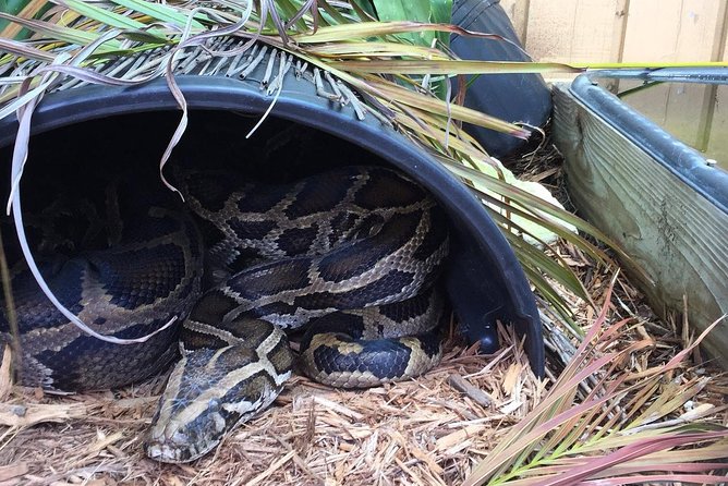 Florida Everglades Private Night Airboat Ride Tour - Nighttime Airboat Ride Experience