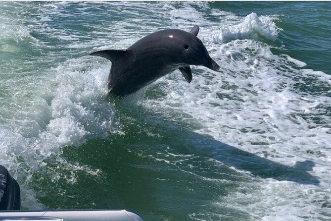 Floridas Beautiful Beaches and Waterways Private Tour - Personalized Experience