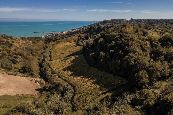 Food and Wine Tour of San Vito Chietino - Booking Details
