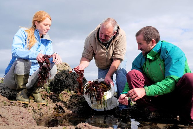 Food, Heritage & Cultural Tour Inishmore, Aran Islands. Guided. - Reviews and Feedback