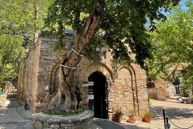 For Cruisers: Best of Ephesus Tour With GUARANTEED ON-TIME RETURN - Customer Feedback