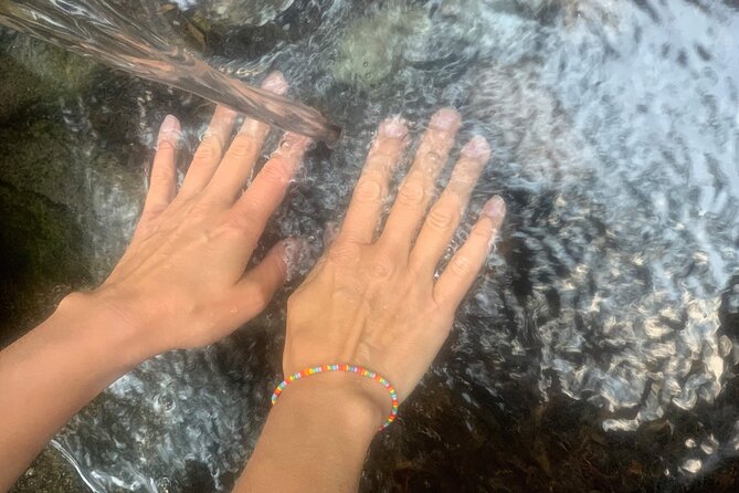 Forestbathing and Natural Spring Water - in Stockholm Nature - Booking Information