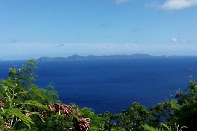 Fort Charlotte, Botanical Gardens and Kingstown Tours With Detention Tours - Accessibility and Participation