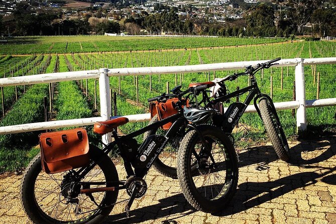 Franschhoek E-Bike Wine Tour (Half Day) - Guided Experience and Insights