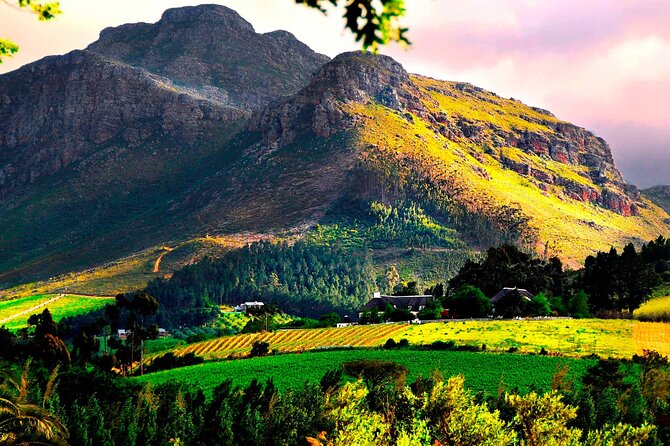 Franschhoek Wine Tram Hop-On Hop-Off Tour From Cape Town. - Accessibility Features