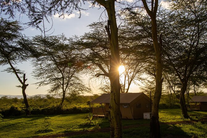 From Arusha: 5 Days Classic Safari Cats, Calves & Crater - Health and Accessibility