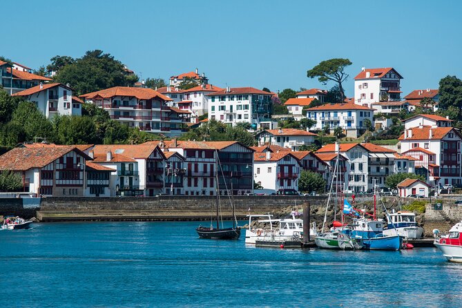 From Bordeaux: Basque Country Private Tour - Transportation and Accessibility Information