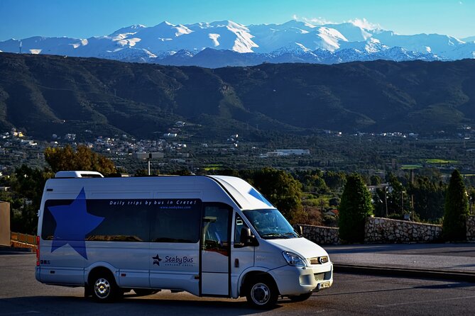 From Chania: Private Hire Minibus/Minivan & Driver - Accessibility and Participation