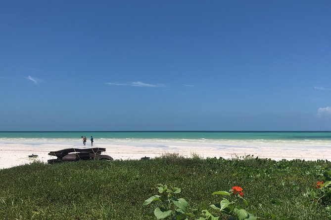 From Holbox to Cancun Private Transportation - Accessibility and Additional Info