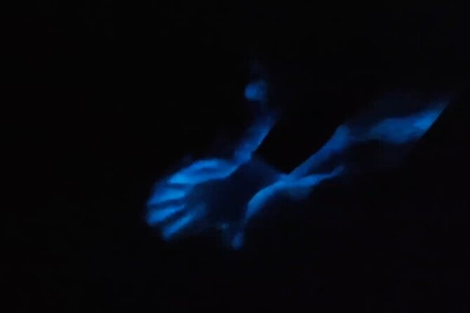 From Huatulco: Turtle Release & Bioluminescence - Transportation and Guide