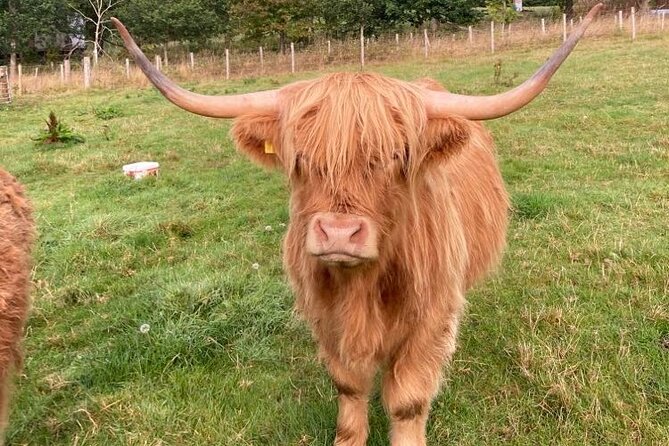 From Inverness Visit Loch Ness, Culloden & Cawdor Castle Day Tour - Cancellation and Support