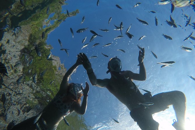 From Khao Lak : Full-Day Private Phi Phi Islands Speedboat Charter - Booking Process and Pricing