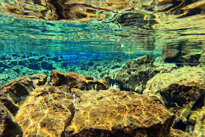 From Reykjavik- Silfra Snorkeling Transfer Included - Included Amenities