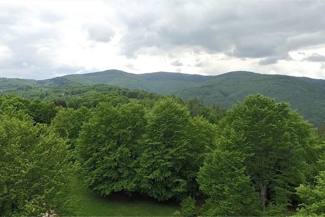 From Sofia: Serbia and Macedonia Trip Review - Traveler Experiences