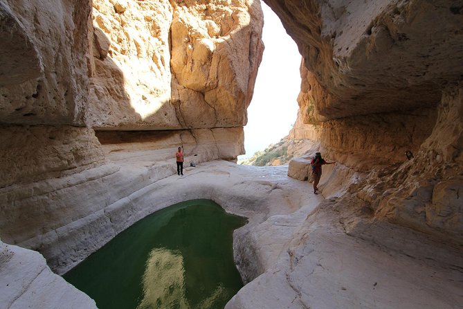 From Tel Aviv: Masada, Ein Gedi and Dead Sea - Transportation and Amenities