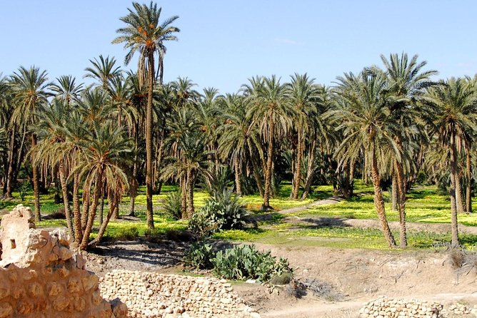 From Tunis: Star Wars 5 Day Tour - Itinerary and Highlights