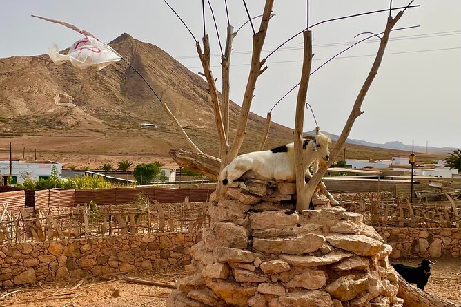 Fuerteventura: Private NORTH TOUR - Pricing Structure and Payment Options