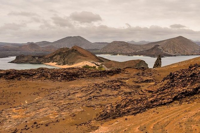 Full Day Bartolome Island & Sullivan Bay - Reviews and Feedback