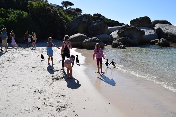 Full Day Cape Point + Constantia Wine Tour With Private Transfer - Wine Tasting at Groot Constantia