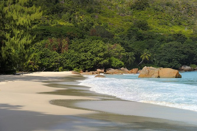 Full Day Discovery Tour of Vallee De Mai and Anse Lazio on Praslin Island - Group Size and Requirements