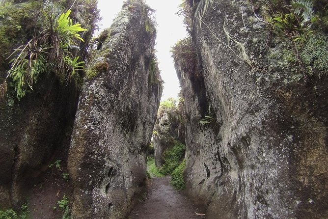 Full Day Floreana Tour - Recommended Preparations