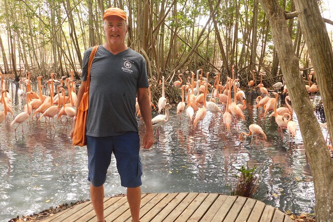 Full Day for Bird Watching With Visit to Isla Baru - Accessibility and Additional Info