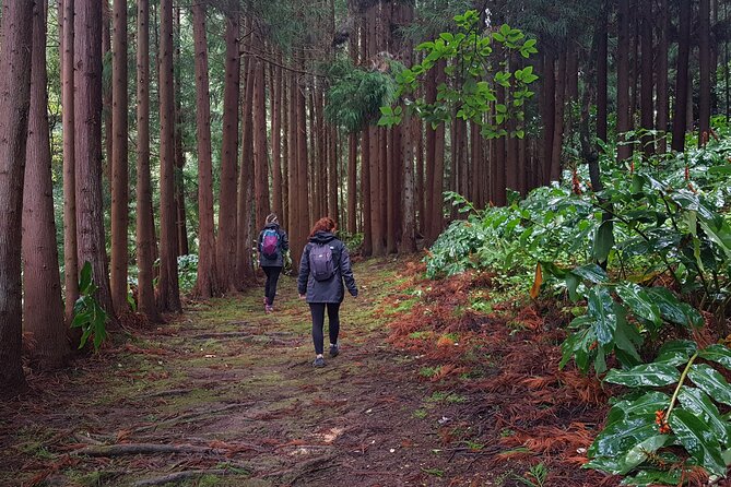 Full Day Hiking Trail Waterfalls - in Lomba De São Pedro - Azores - Booking and Cancellation Policy