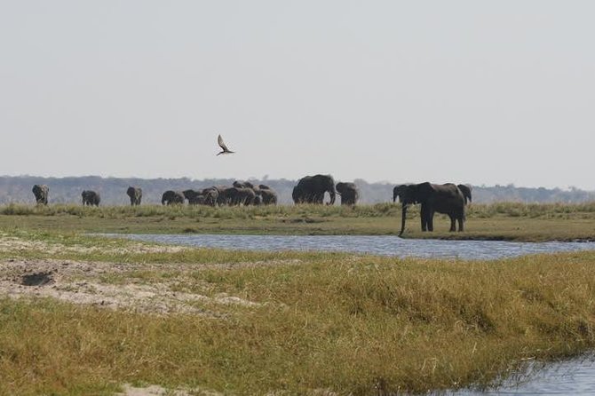 Full Day Hwange Day Trip - Customer Feedback and Ratings