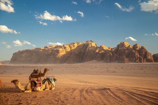 Full-Day Jeep Tour, Wadi Rum Desert Highlights - Activities and Experiences