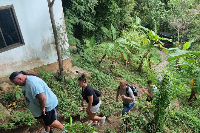Full Day Jungle Safari Tour in Koh Samui - Highlights of the Safari