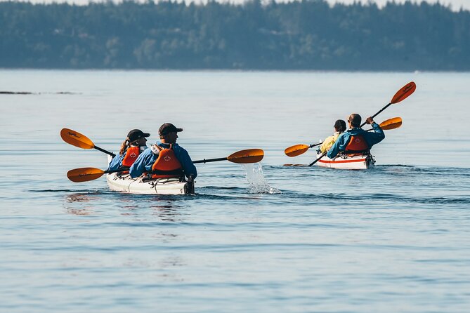 Full Day Kayaking Adventure on Vancouver Island - Tour Capacity and Ratings