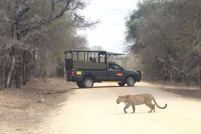 Full Day Kruger National Park Game Drive - Wildlife Viewing Experience