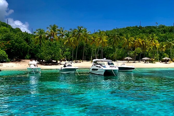 Full Day Luxury Catamaran Turtle Snorkel and Beach Getaway - Departure and Meeting Point