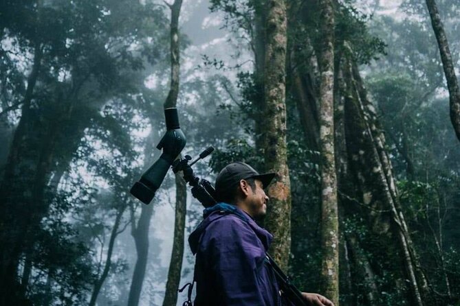 Full Day Monteverde Bird-Watching & Photografy Private Tour - Questions About Your Stay