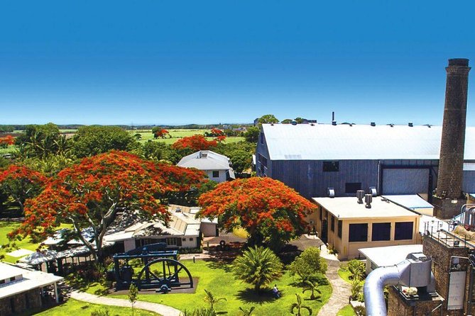 Full-Day North Tour of Mauritius, ALL INCLUSIVE Day Trip, Private SUV Car, Guide - Accessibility and Additional Information
