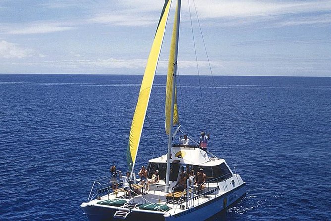 Full Day Oahu Bike, Hike, Sail and Snorkel Combo - Traveler Feedback and Recommendations