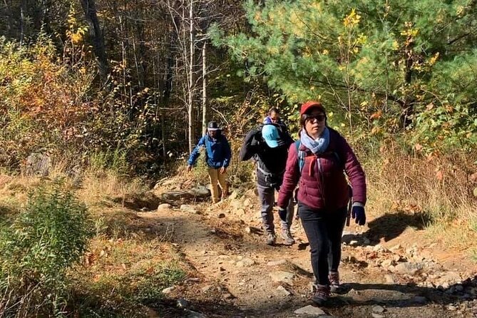 Full-Day Private Hiking in Kent Falls Review - Travel and Meeting Points