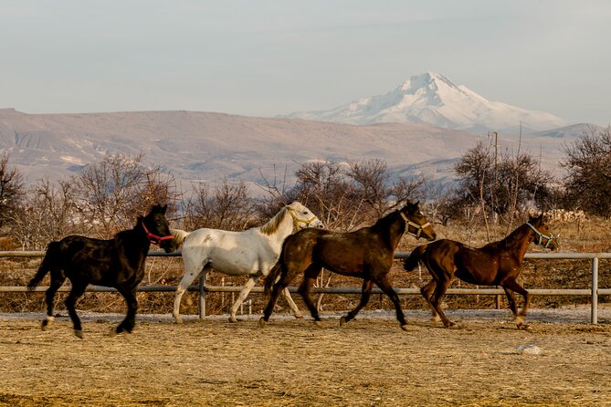 Full Day Private South Tour in Cappadocia - Booking and Cancellation