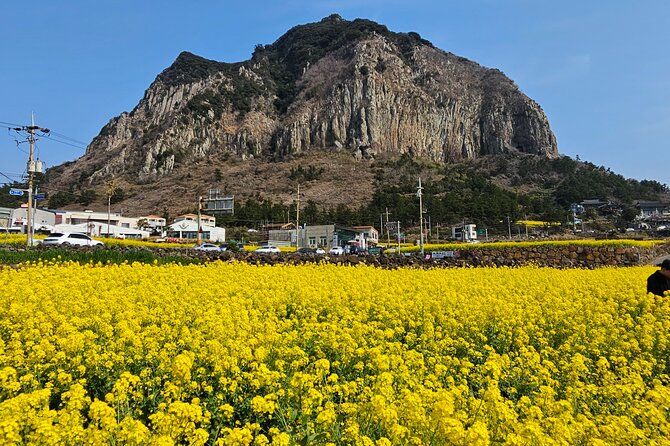 Full-Day Private Tour in Jeju Island - Pickup Information and Process