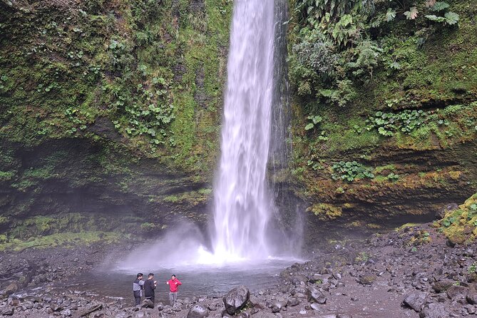 Full Day Private Tour to Waterfalls and Llanquihue Lake Route - Tour Participation