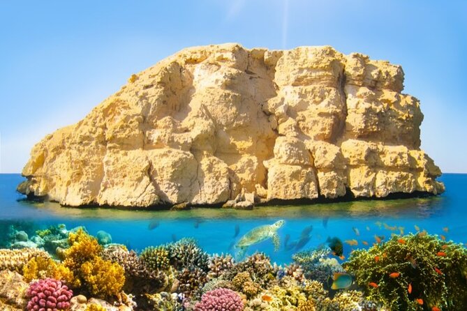 Full Day Ras Mohamed by Boat - Customer Reviews