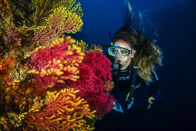 Full-Day Snorkeling and Guided Dive in the Calanques National Park From Marseille - Snorkeling Along the Rocky Coastline