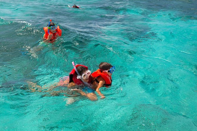Full Day SoCoHo - Historic Sites - Mangrove Kayak & Reef Snorkeling - Booking and Cancellation Policy