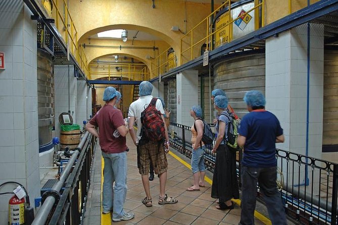 Full-Day Tequila, Jalisco From Puerto Vallarta With Tequila Experience - Reviews and Ratings