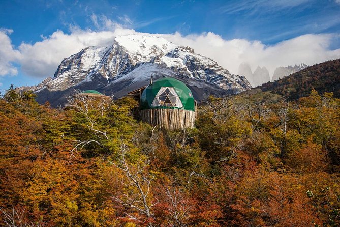 Full Day Torres Del Paine Shared Tour From Puerto Natales Only - Highlights of the Tour