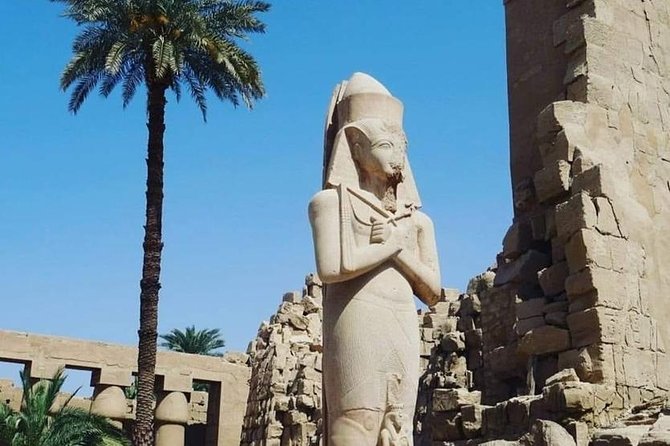 Full Day Tour Form Cairo to Visit East Bank and West Bank Luxor - Accessibility Features
