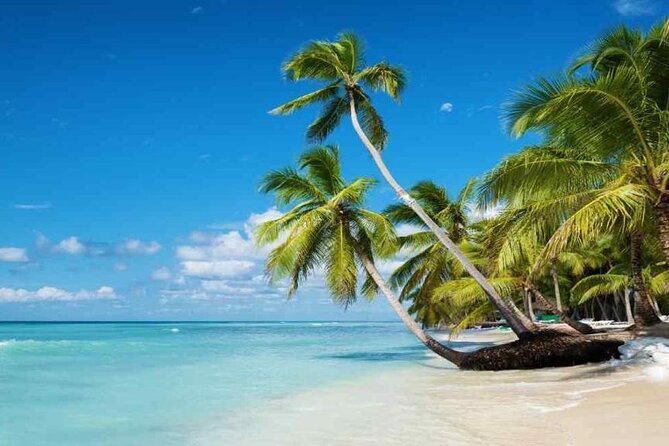 Full Day Tour to Isla Saona and Altos De Chavon - Positive Experiences