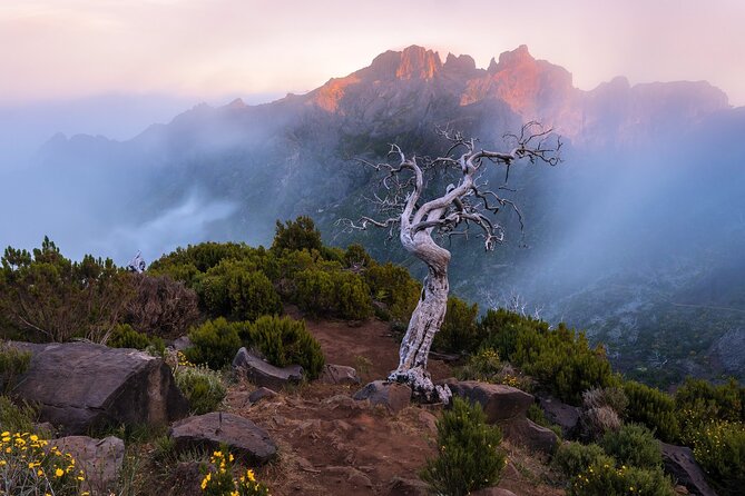 Full Day Tour to West Madeira Island - Immersive Cultural Exploration