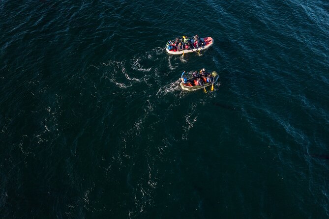 Full Day Tour With Canoes in Puerto Almanza From Tierra Del Fuego - Final Verdict On This Stay